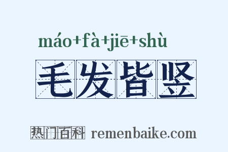 毛发皆竖是什么意思的图片